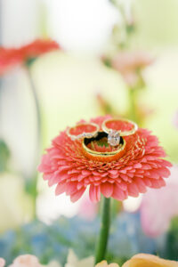 Detail shot of the wedding bands and a flower